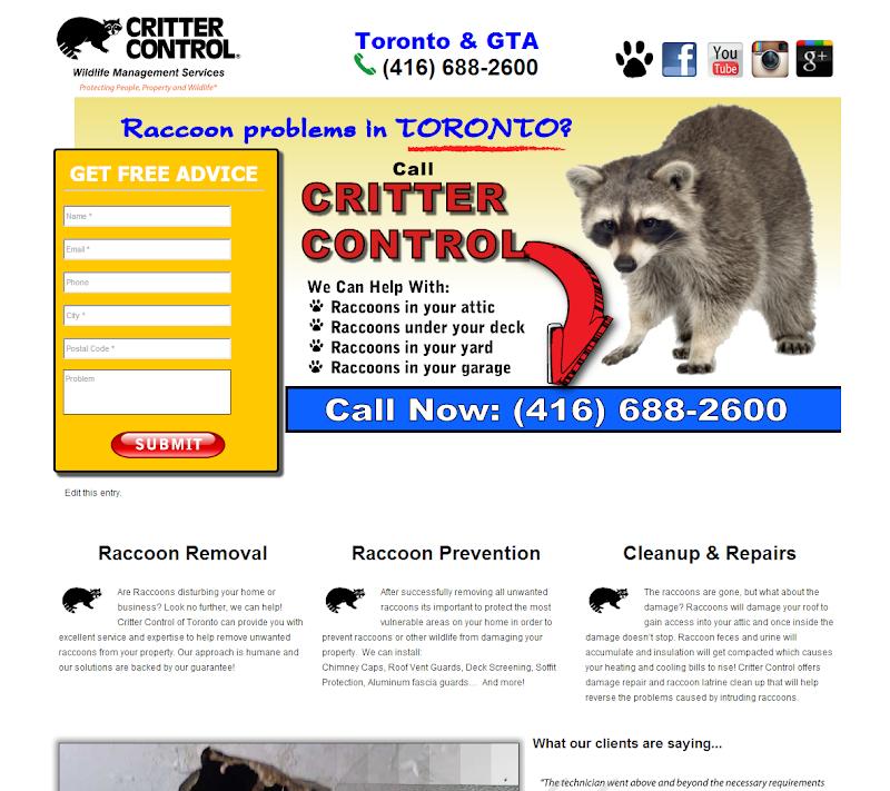 Marketing Agency Branch Out Marketing & Website Design in Ottawa (ON) | WebMetric