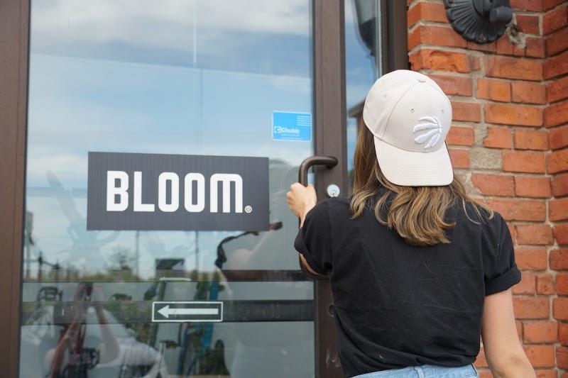 Training SEO Bloom Search Marketing in Toronto (ON) | WebMetric