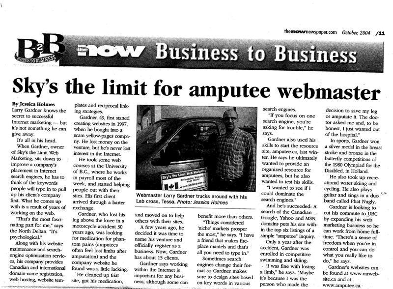 Sky's the Limit Web Marketing - Agence de Marketing Web à Niagara Falls (ON) | WebMetric